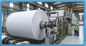 Paper Plant